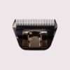 Electric clipper head on white background.