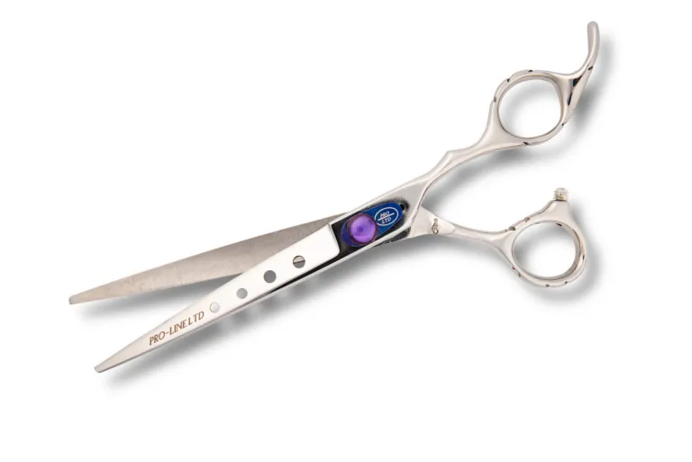 Professional hair cutting scissors on white background.