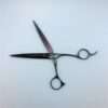 Professional hairdressing scissors on white background.