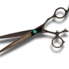 Professional hairdressing scissors on white background.