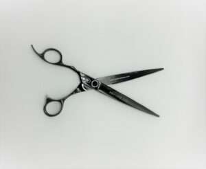 Professional hair cutting scissors on white background.