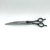Professional hairdressing scissors on white background.
