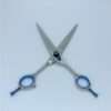 Silver hairdressing scissors with blue accents.