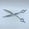 Professional hair cutting scissors on white background.