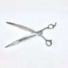Professional hair cutting scissors on white background.