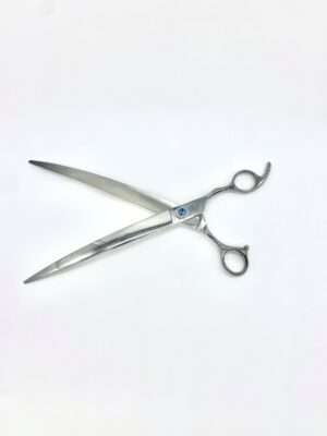 Professional hair cutting scissors on white background.