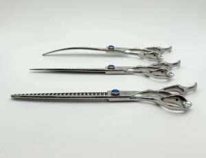 Stainless steel surgical instruments on white background.
