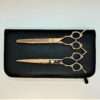 Professional gold hairdressing scissors in black case