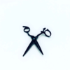 Black hairdressing scissors on white background.