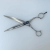 Professional hairdressing scissors on white background.