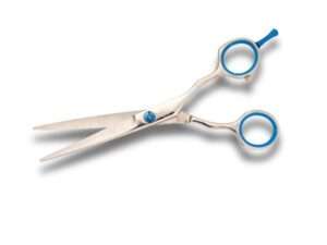 Professional blue-handled hairdressing scissors on white background.