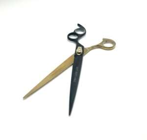 Professional hairdressing scissors isolated on white background.