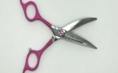 Mastering Precision Cuts with Curved vs. Straight Shears