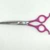 Professional purple hairdressing scissors on white background.