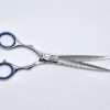 Professional hairdressing scissors with blue rings.