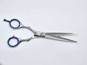Professional hairdressing scissors with blue rings.