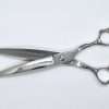 Professional silver hairdressing scissors on white background