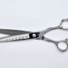 Professional hairdressing scissors on white background.
