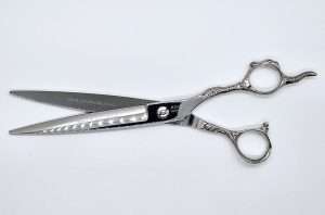 Professional hairdressing scissors on white background.