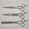 Three types of professional haircutting scissors